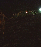AMO-TBH035.jpg