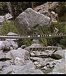 AMO-C033.jpg