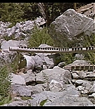 AMO-C035.jpg