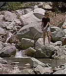 AMO-C036.jpg