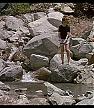 AMO-C037.jpg