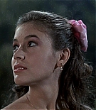 AMO-DTD228.jpg